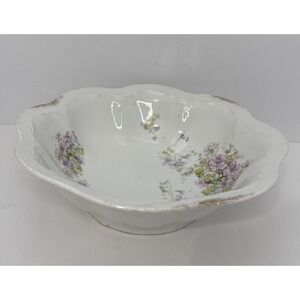 RS Prussia Porcelain Bowl Flowers Purple Blue 10.5" Diameter Vintage Germany